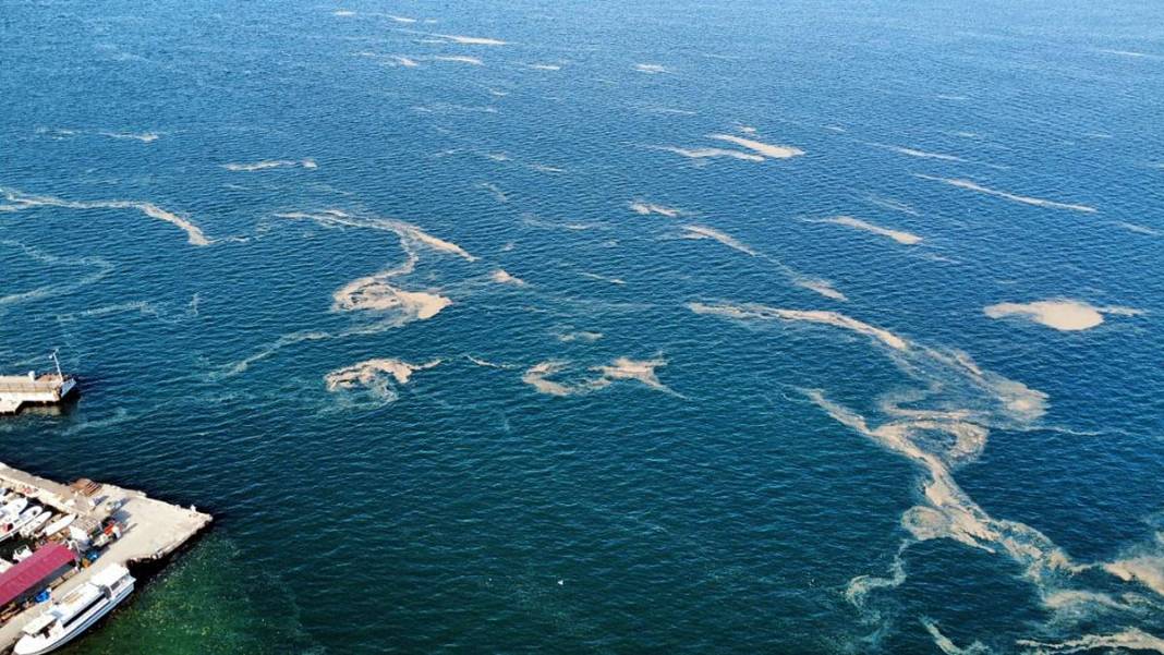 Kabus geri döndü: Bir anda beyaz tabakayla kaplandı! Çevre kirliliği had safhada 7